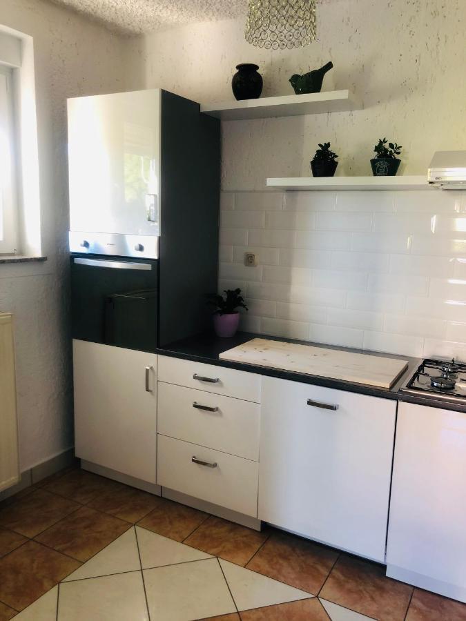 Apartments Smirnov Drežnik Grad Extérieur photo
