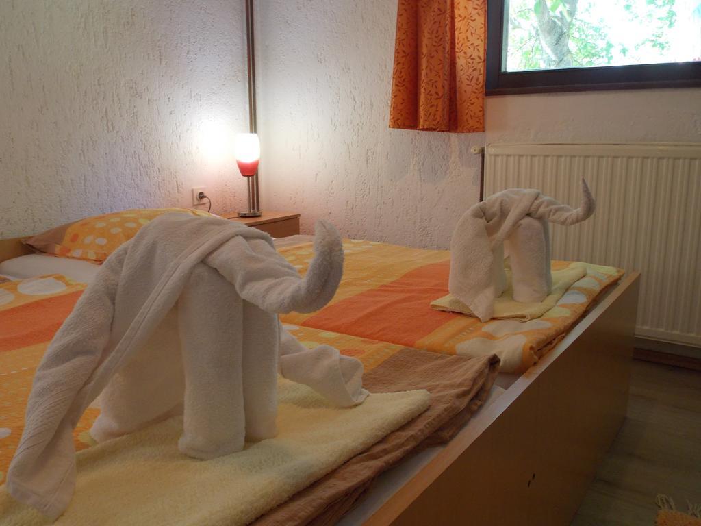 Apartments Smirnov Drežnik Grad Extérieur photo