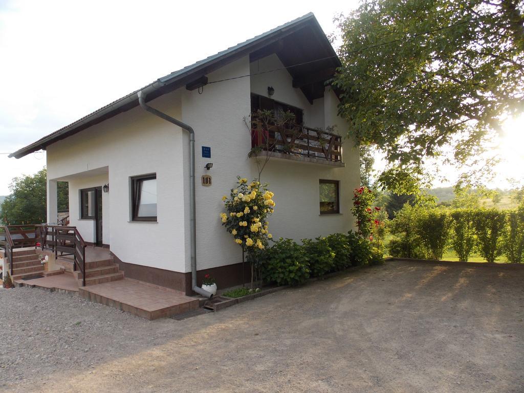 Apartments Smirnov Drežnik Grad Extérieur photo