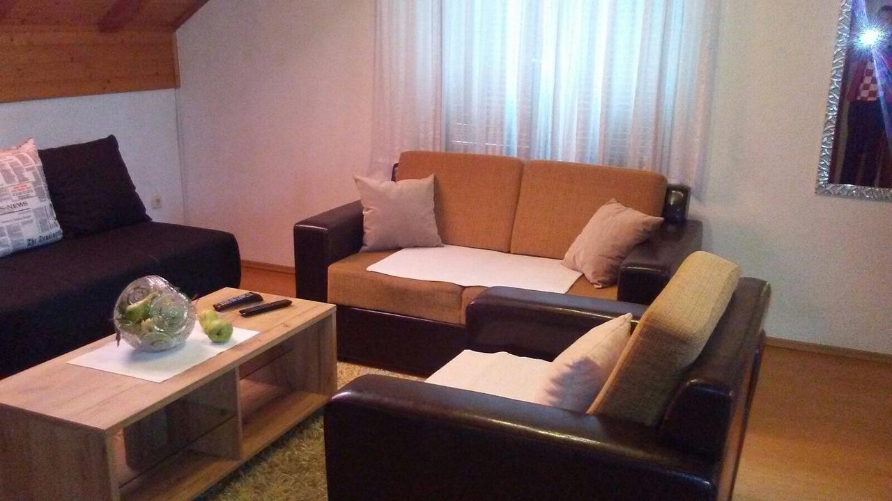Apartments Smirnov Drežnik Grad Extérieur photo