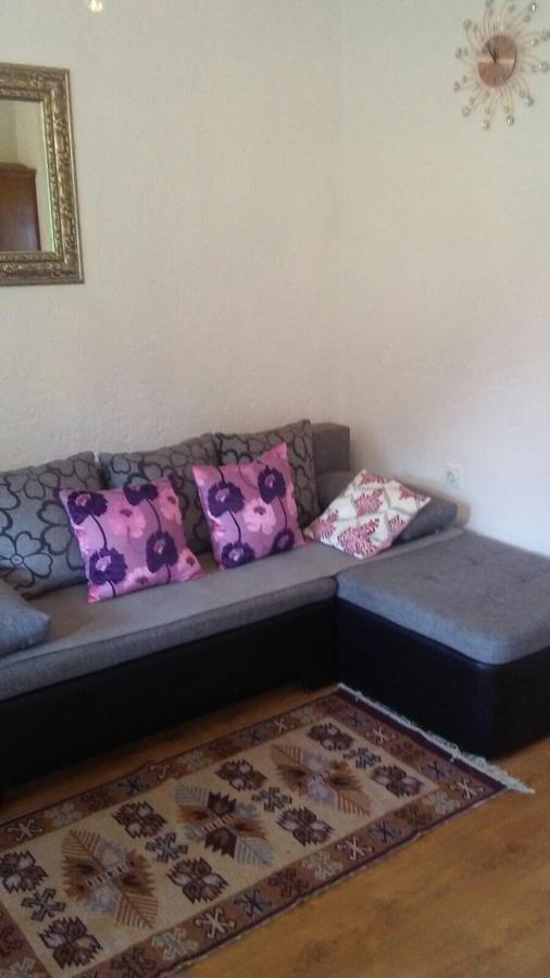 Apartments Smirnov Drežnik Grad Extérieur photo